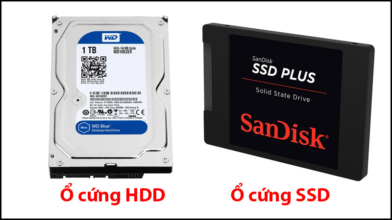 Ổ cứng HDD và SSD